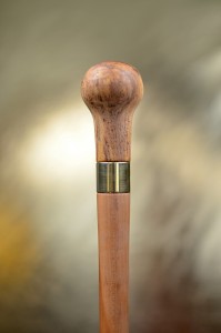 Vycházková hůl Švestka a Jabloň